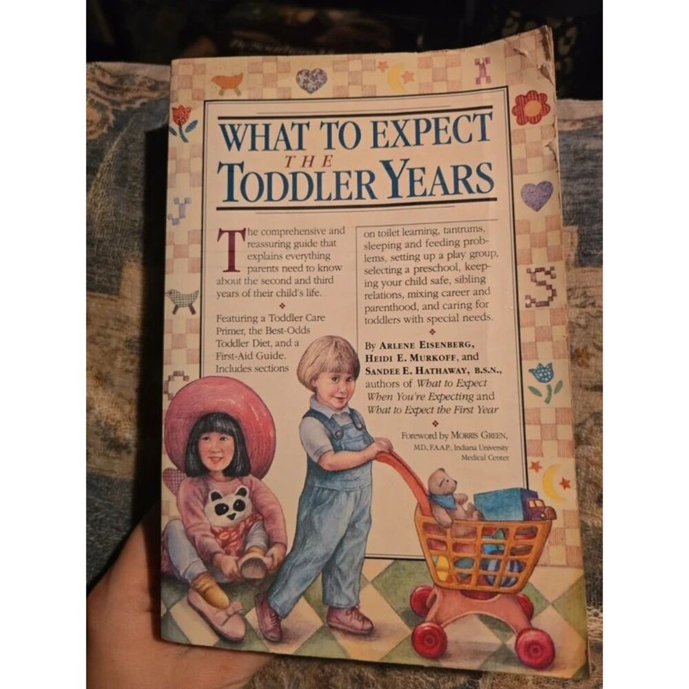 What to Expect The Toddler Years